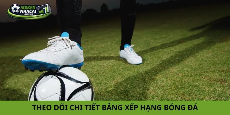 Theo dõi chi tiết bảng xếp hạng bóng đá