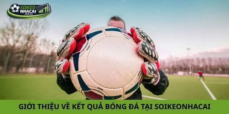 Giới thiệu về kết quả bóng đá tại soikeonhacai