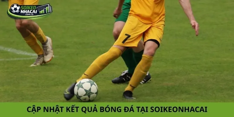 Cập nhật kết quả bóng đá tại soikeonhacai
