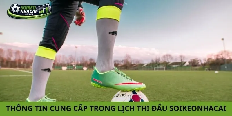 Thông tin cung cấp trong lịch thi đấu soikeonhacai