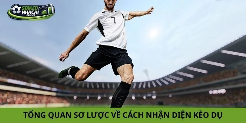 Tổng quan sơ lược về cách nhận diện kèo dụ