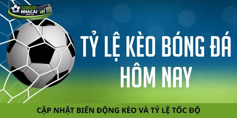 Cập nhật biến động kèo và tỷ lệ tốc độ